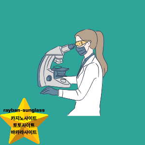 카지노사이트 검증